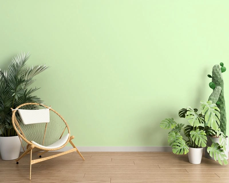 sơn nhà màu xanh lá chuối cho mẫu sơn nhà màu xanh ấn tượng