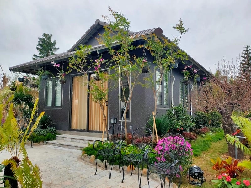 Trải nghiệm không gian sống nhà gỗ lắp ghép đầy tiện nghi