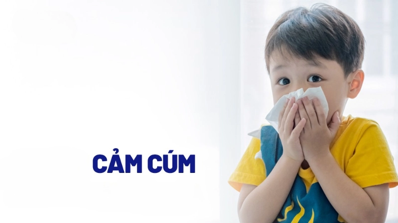 Hình ảnh bệnh cảm cúm trông như thế nào