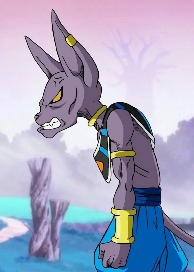 Cảnh đáng yêu nhưng mạnh mẽ của Beerus Sama mèo