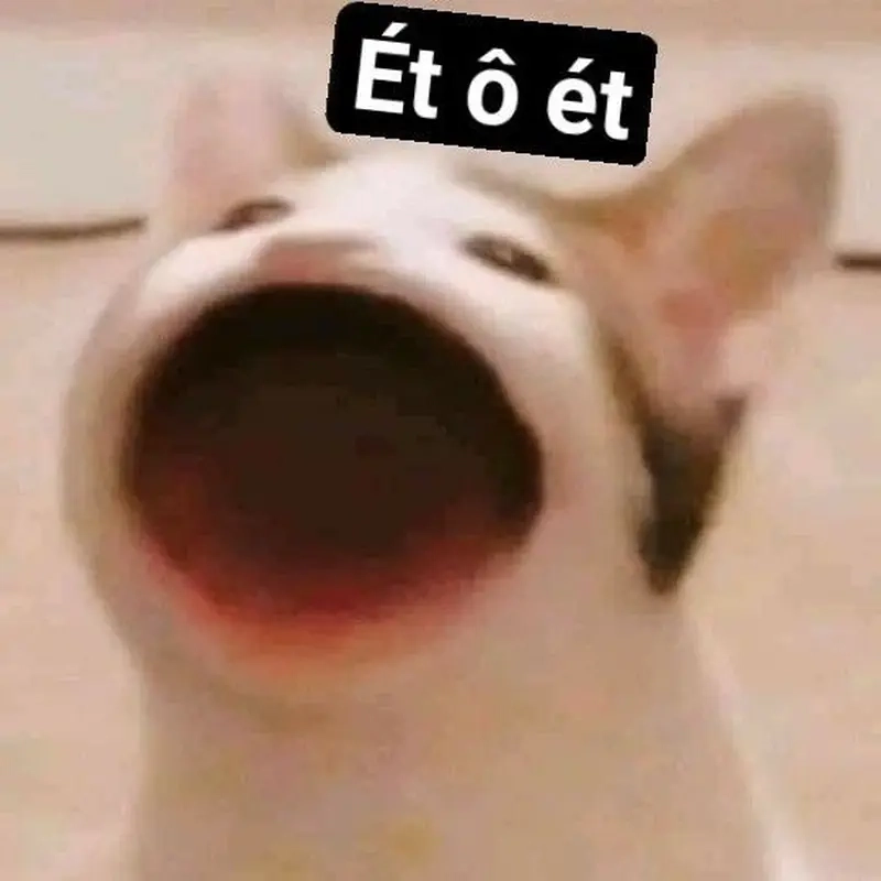 Bộ meme ét o ét (SOS) giúp bạn thoát hiểm trong mọi tình huống