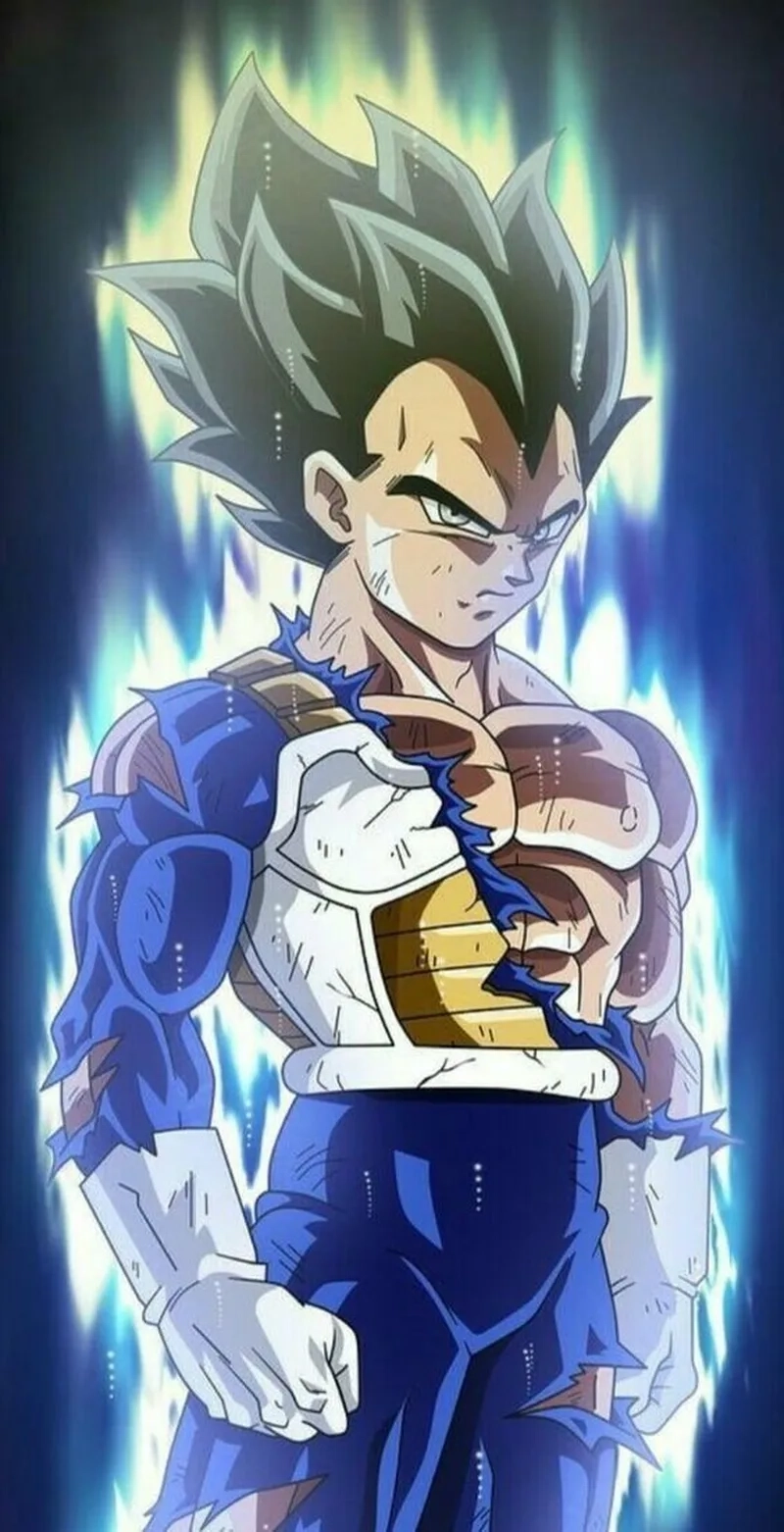 Hành trình của Dragon Ball Super Vegeta đầy ấn tượng