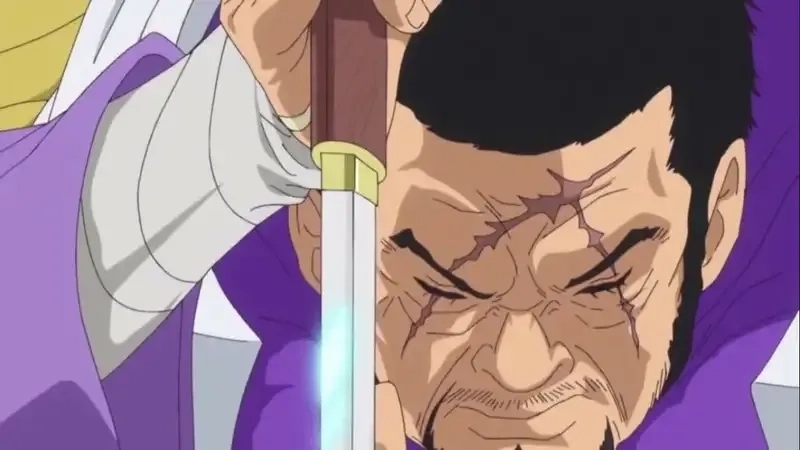 Fujitora real name là Issho được tiết lộ sau arc Dressrosa