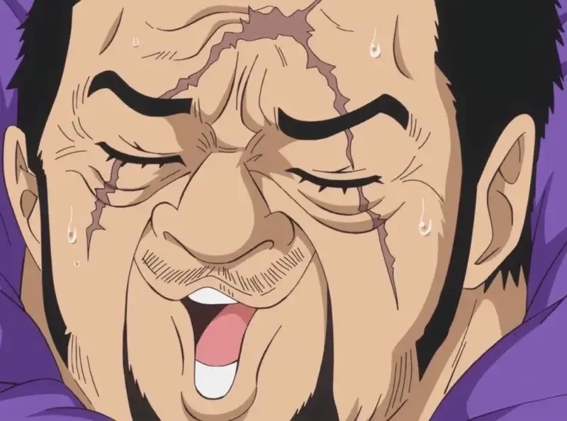 Fujitora vs Luffy xảy ra khi ông muốn bắt giữ Luffy sau Dressrosa