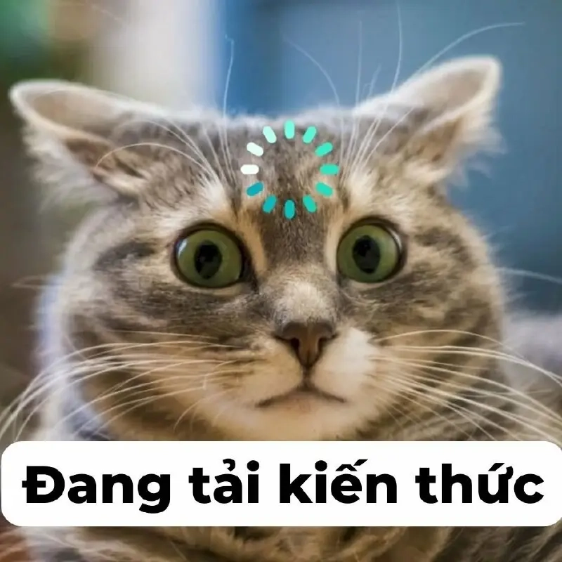 Hành động liên quan đến meme dễ dàng tìm thấy qua bộ sưu tập meme phong phú