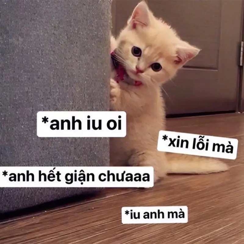 Tìm kiếm hành động liên quan đến meme qua việc xin meme chuẩn trend