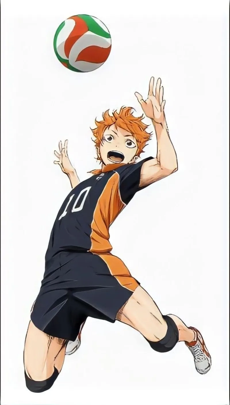 Cùng theo bước Haikyuu Shoyo bay cao trên sân bóng