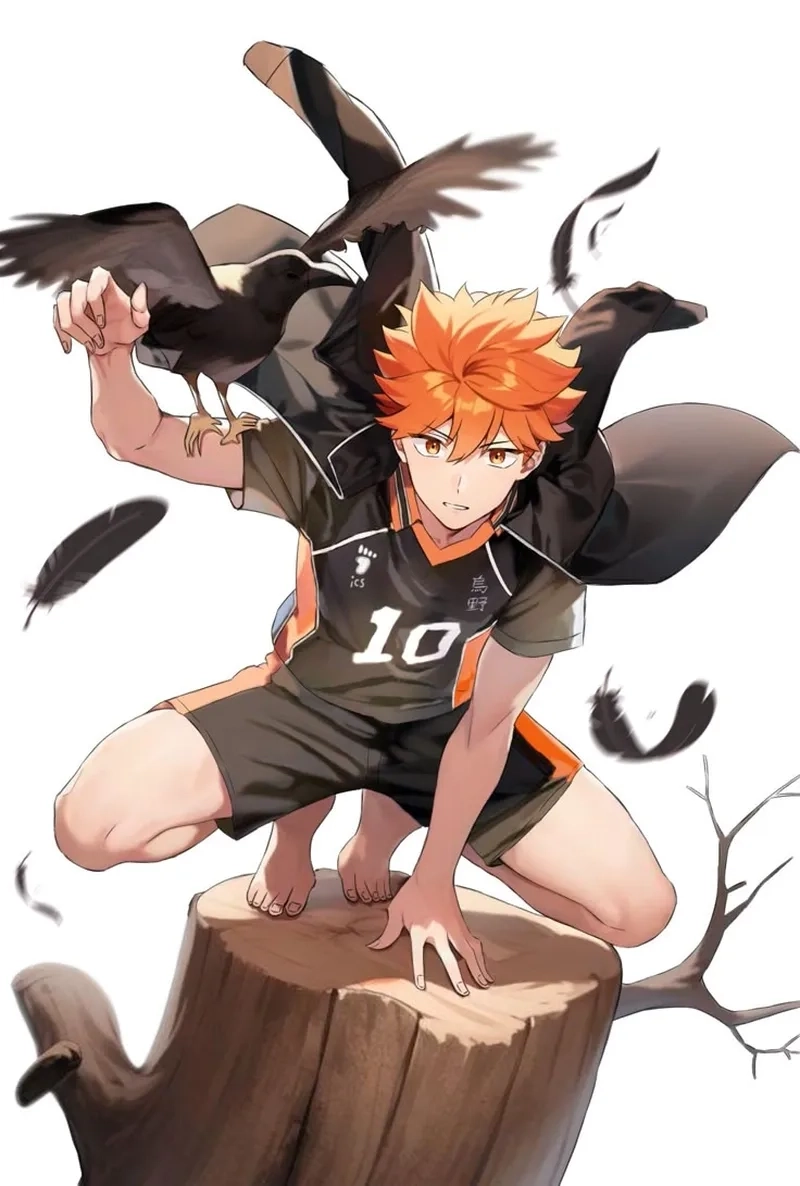 Shoyo Hinata tia nắng nhỏ trên sân bóng rực lửa