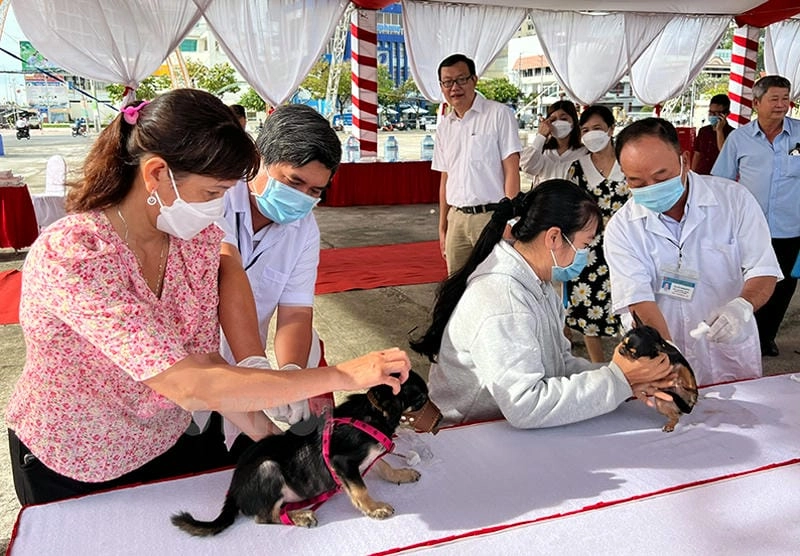 Xem ngay hình ảnh bệnh dại chân thực rõ nét