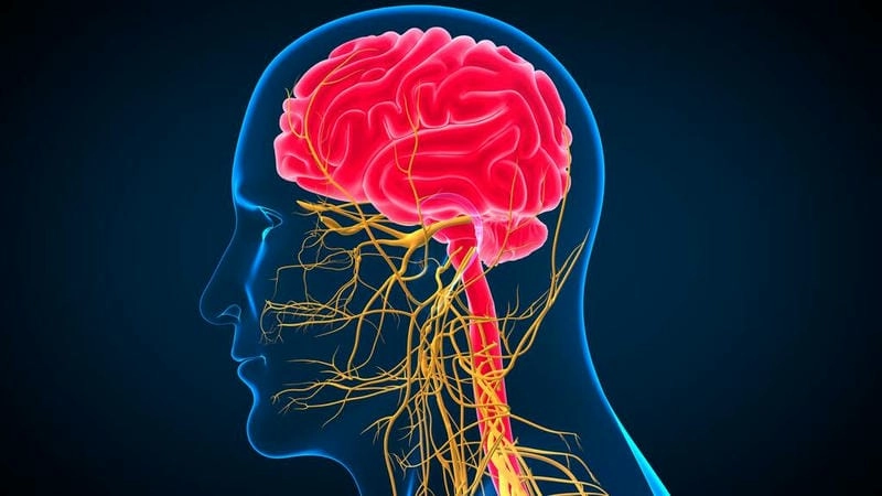 Người bị bệnh động kinh có thể chữa được không