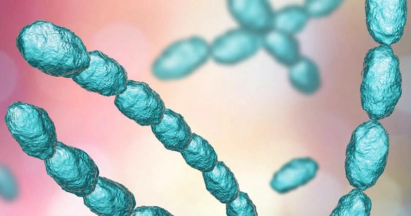 Biểu hiện ngoài da qua hình ảnh bị bệnh hạ cam