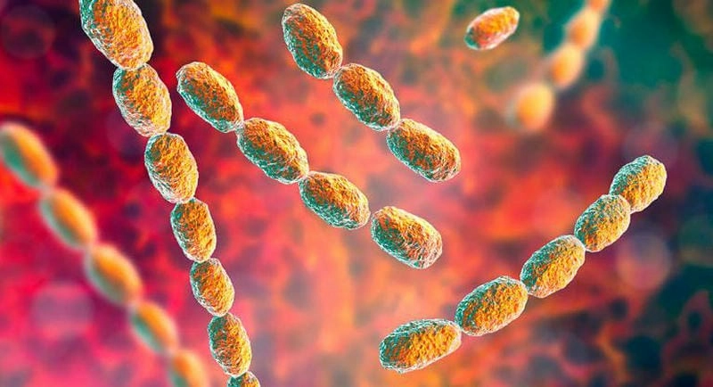 Theo dõi biến chứng qua hình ảnh người bệnh hạ cam