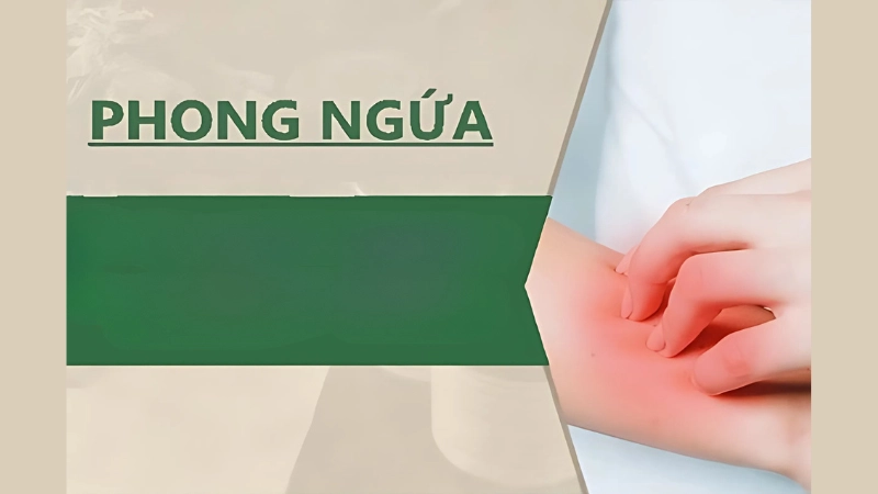Phong ngứa là như thế nào nhìn tận mắt mới hiểu