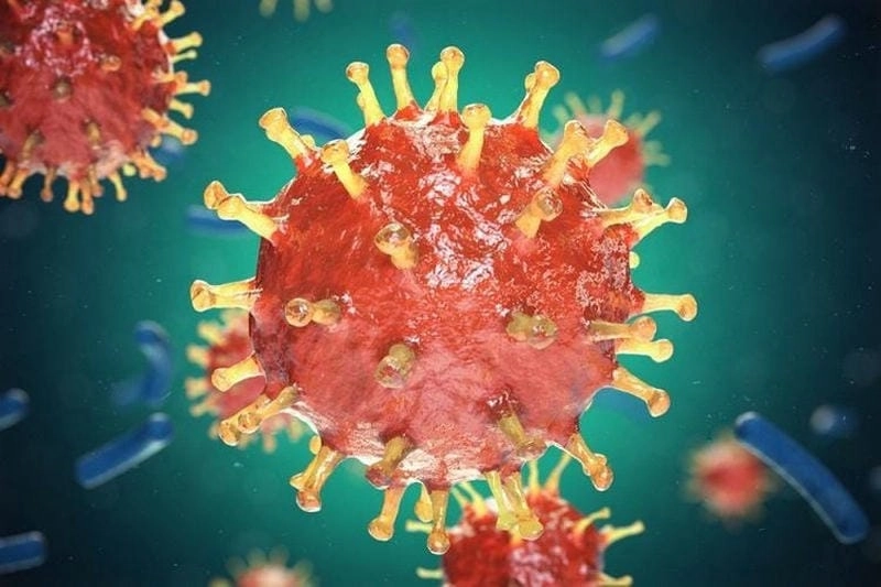 Hình ảnh dịch bệnh rubella lan rộng trong cộng đồng