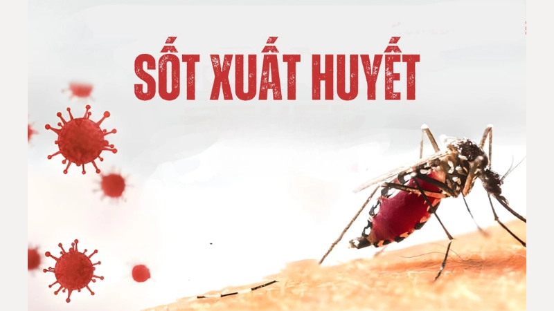 Hình ảnh sốt xuất huyết ở người lớn là như thế nào