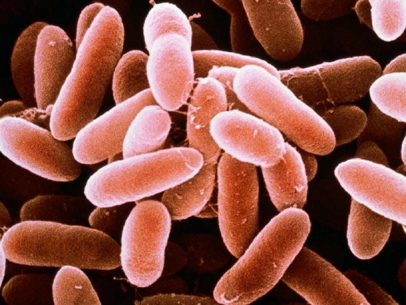 Dấu hiệu bị nhiễm trùng uốn ván bạn nên biết