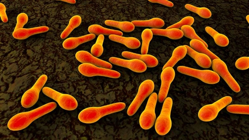 Tổng hợp các hình ảnh bị uốn ván thực tế