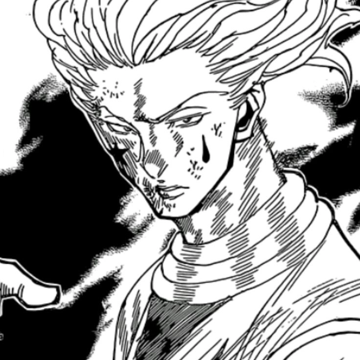 Fan thắc mắc liệu Hisoka có chết không sau trận đấu