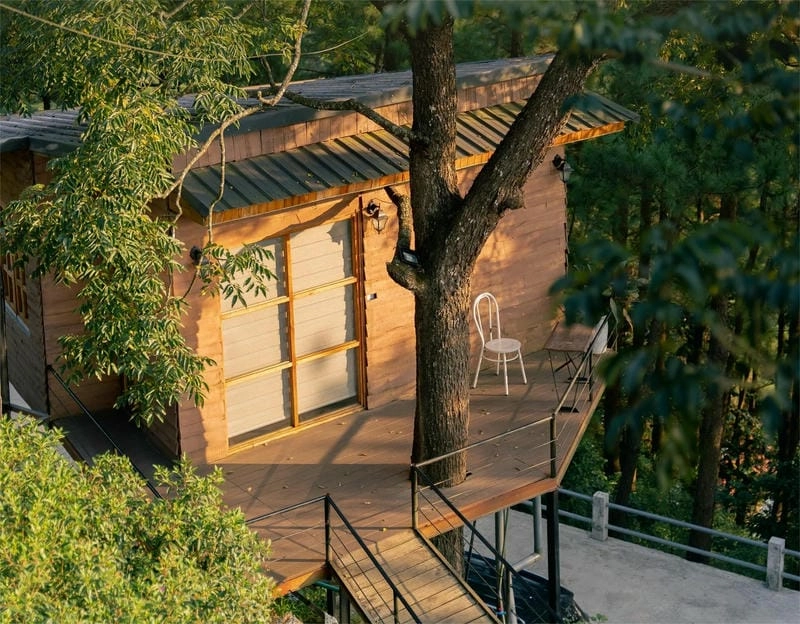 Lôi cuốn từ cái nhìn đầu tiên với mẫu nhà gỗ homestay đẹp