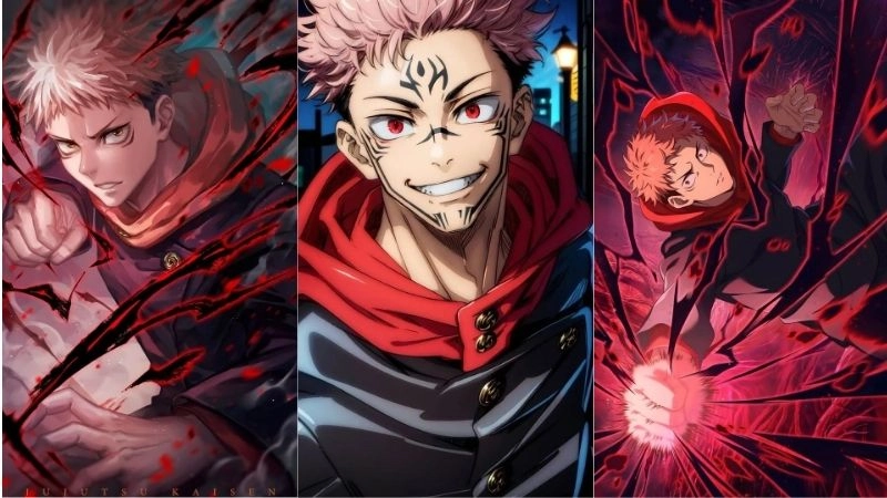 Tiểu sử về Itadori