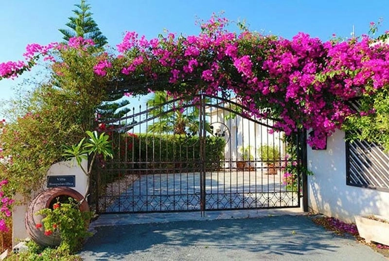 Gợi ý những mẫu cổng nhà đẹp nhất sang trọng tinh tế