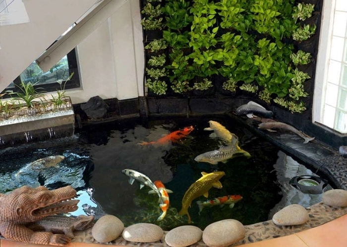 Không gian sống thêm sinh động với mẫu hồ cá koi trong nhà