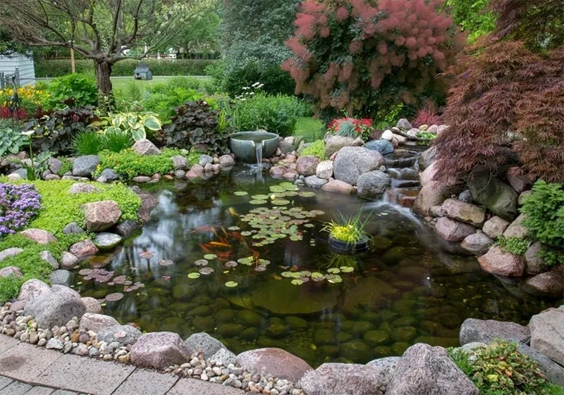 Biến góc vườn thêm sinh động qua các mẫu hồ cá ngoài trời