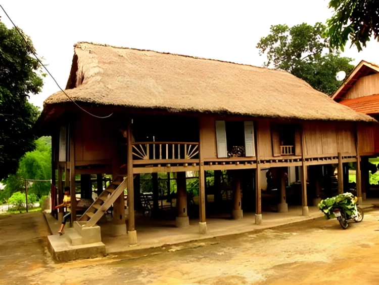 Xem ngay mẫu nhà sàn bằng gỗ đẹp truyền thống