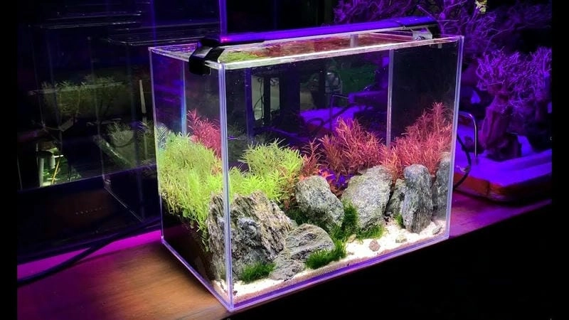 Khám phá 5x10m mẫu nhà cấp 4 đẹp 5x10 2 phòng ngủ