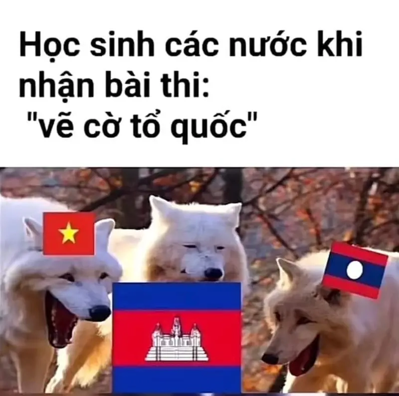 Thưởng thức meme môn Địa meme các môn học thu hút