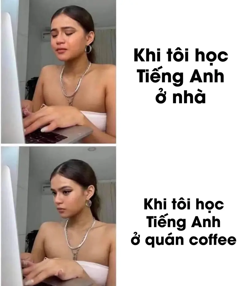 Thưởng thức meme học tiếng Anh meme các môn học thu hút