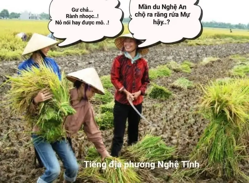 Meme dân Nghệ An vui nhộn trong bộ meme các tỉnh thành khác