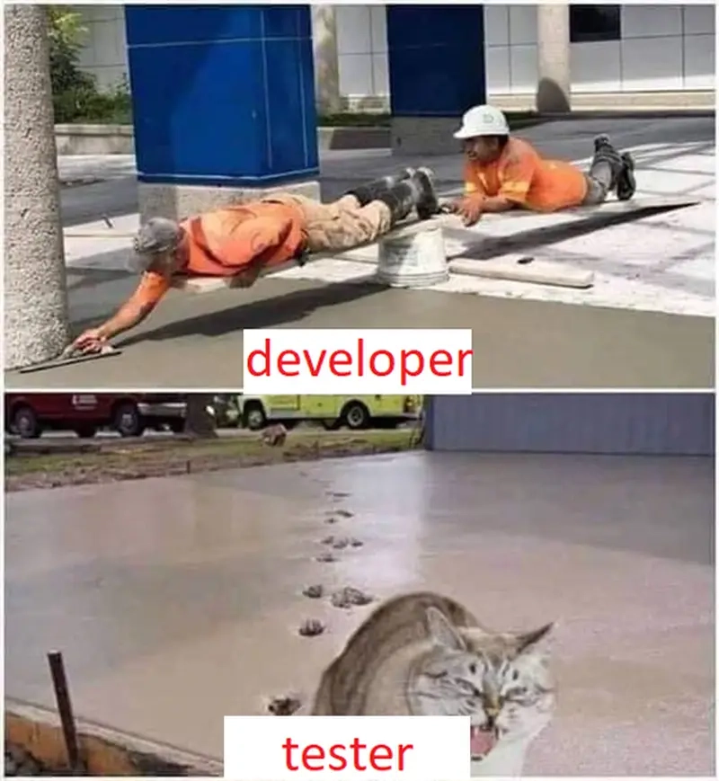 Chia sẻ meme dev và tester để kết nối cộng đồng IT hiệu quả