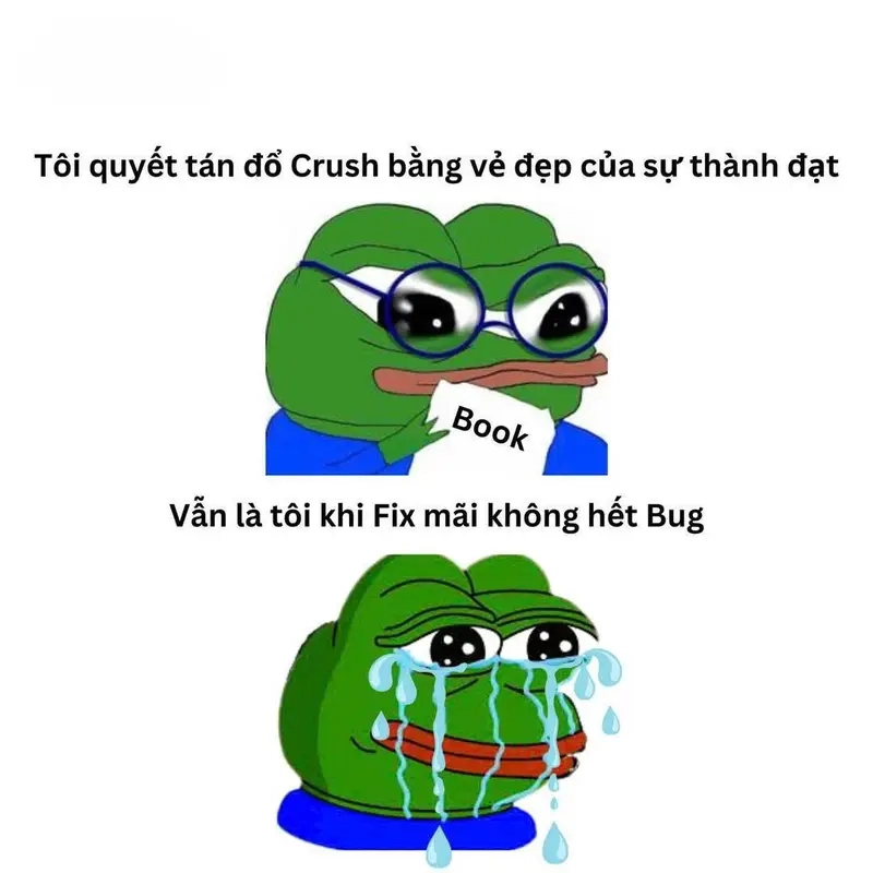 Meme fix bug thể hiện nỗi lòng dân IT đầy duyên dáng và dí dỏm