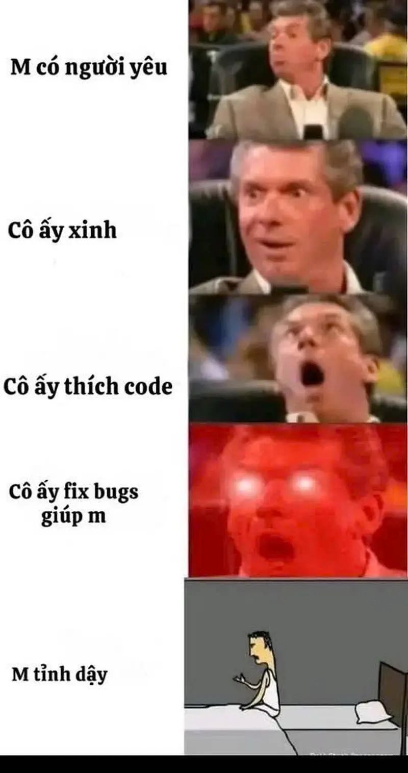 Meme Dân IT / Lập trình viên thu hút với meme fix bug chuẩn trend
