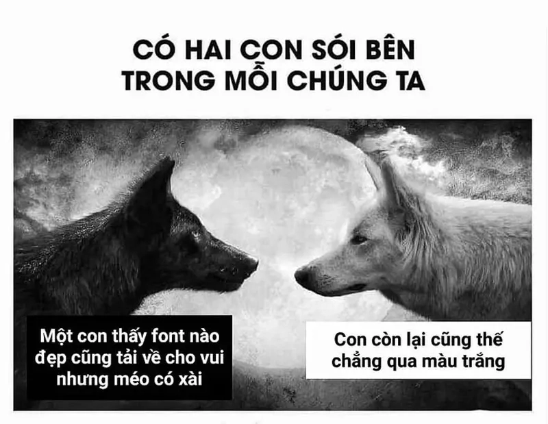 Khi meme font chữ làm khó dân thiết kế trong mọi dự án sáng tạo