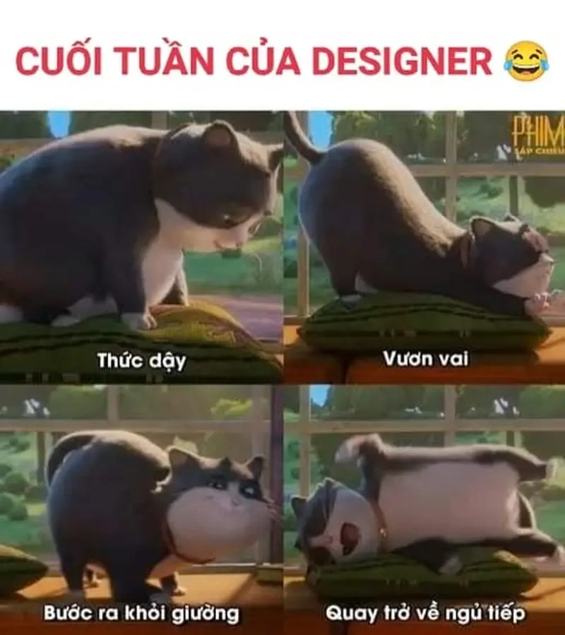 Khi khách hàng chỉ muốn meme 