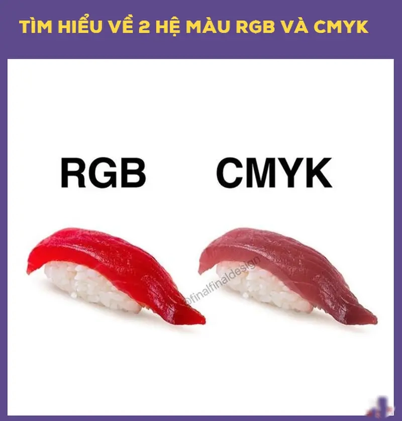 Meme hệ màu CMYK và RGB thể hiện nỗi lòng dân designer chuyên nghiệp