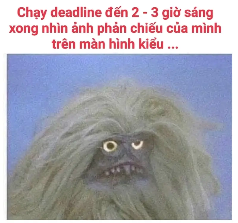 Khi meme designer và deadline khiến dân design phải chạy nước rút