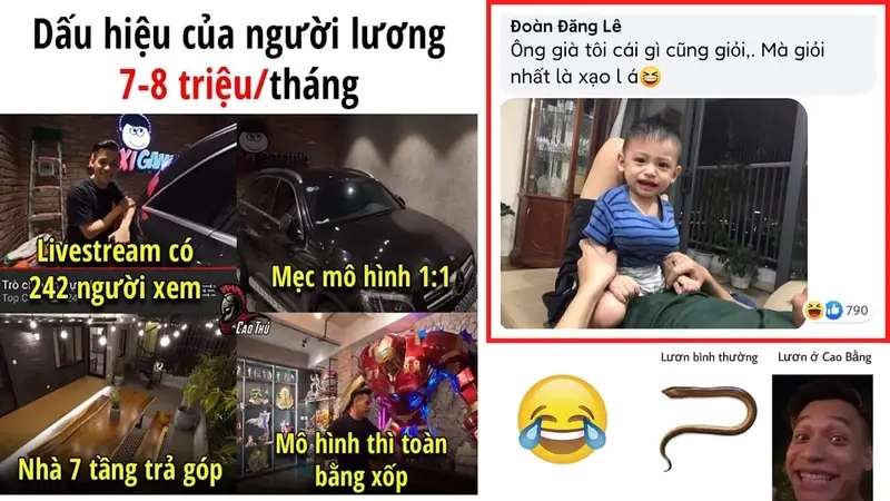 Hài hước cùng meme lươn meme Độ Mixi
