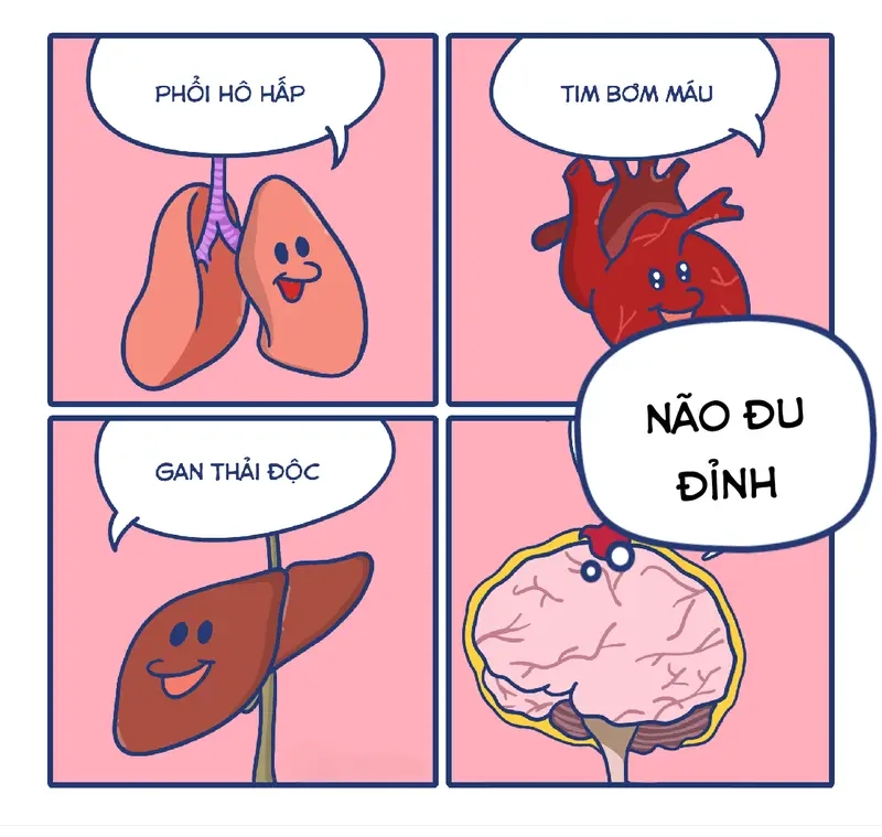 Khám phá meme não và tim thú vị giúp bạn giải trí mỗi ngày
