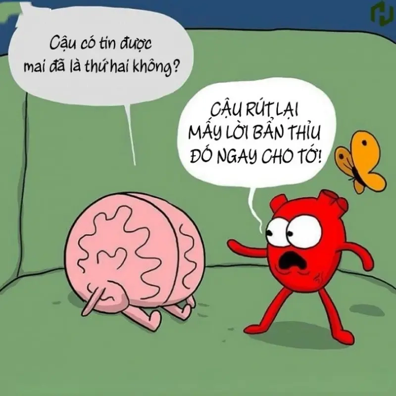 Bộ sưu tập meme não và tim siêu độc đáo và sáng tạo