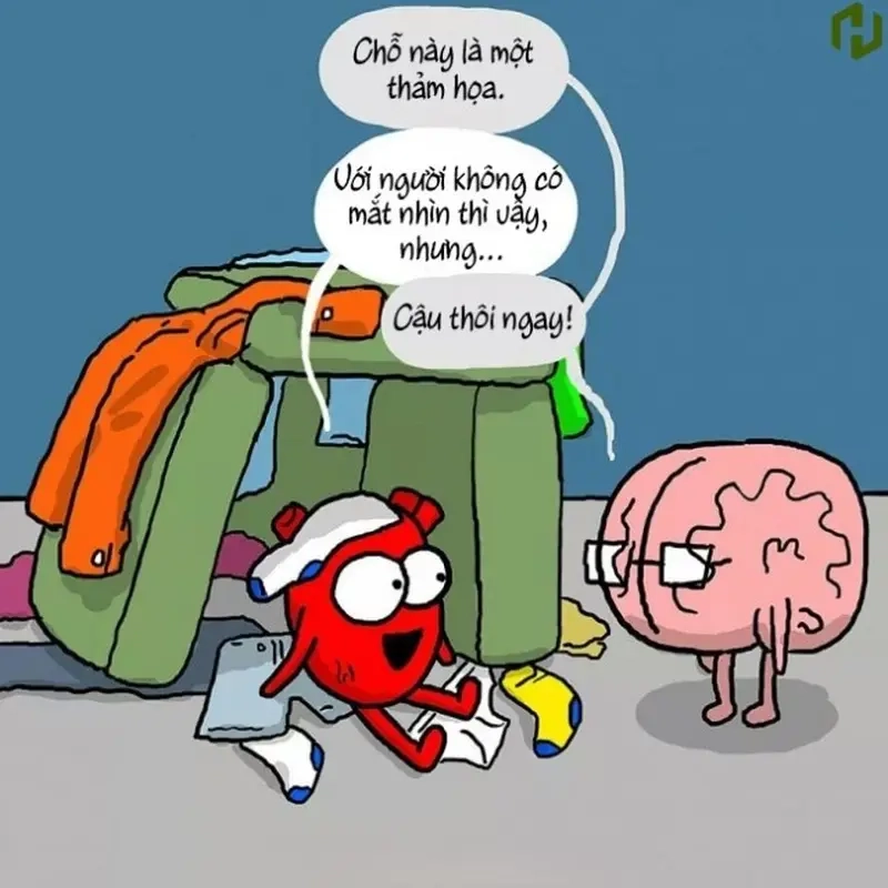 Tạo meme não và tim đơn giản nhưng hài hước không tưởng