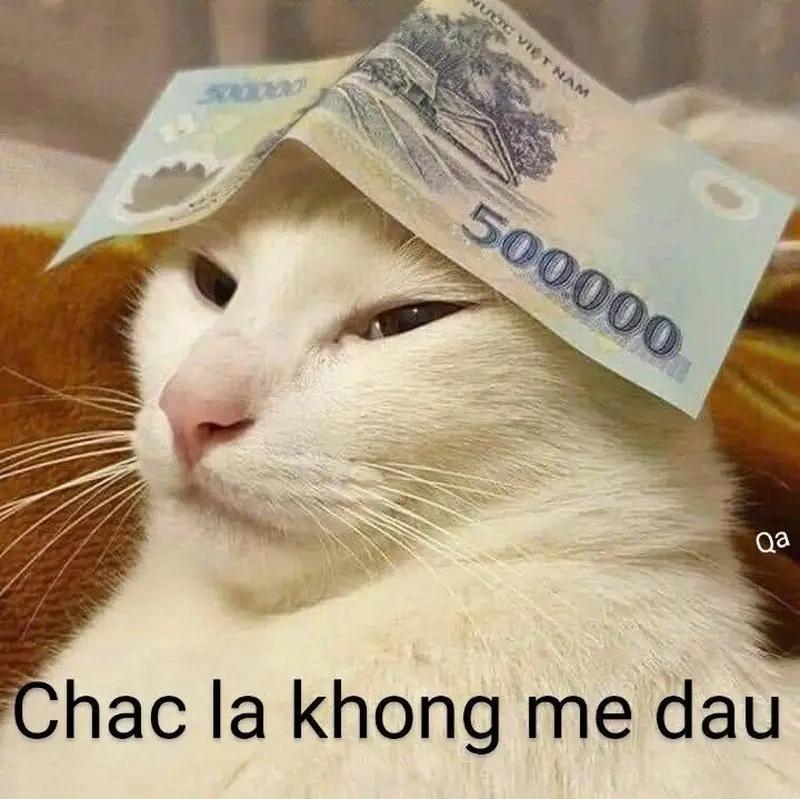 Khoe đồ chơi mới chưa bao giờ dễ đến thế với meme khoe của