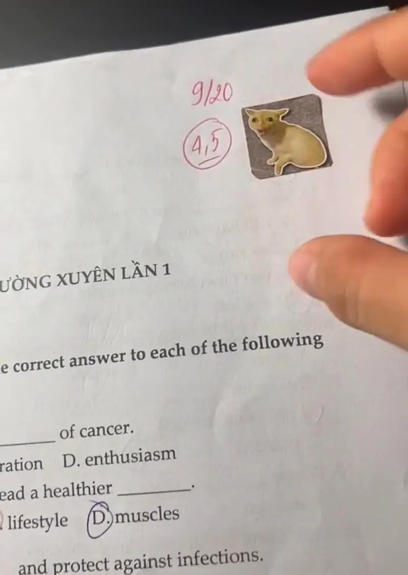 Khi meme chấm bài khiến giáo viên vừa mệt vừa buồn cười