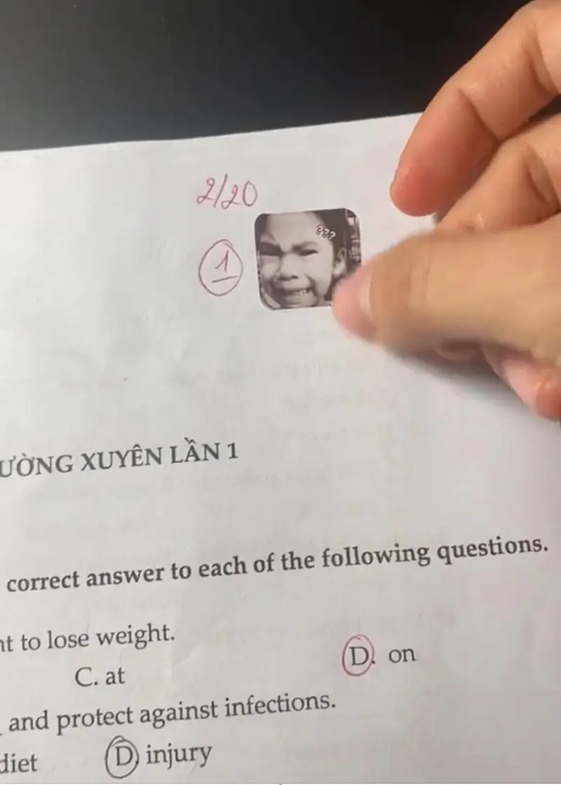 Thả tim cho meme chấm bài giúp giáo viên thư giãn nhẹ nhàng