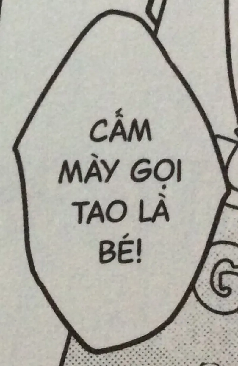 Chỉ nhìn ảnh meme cười ỉa thôi cũng đủ xả stress cả ngày!