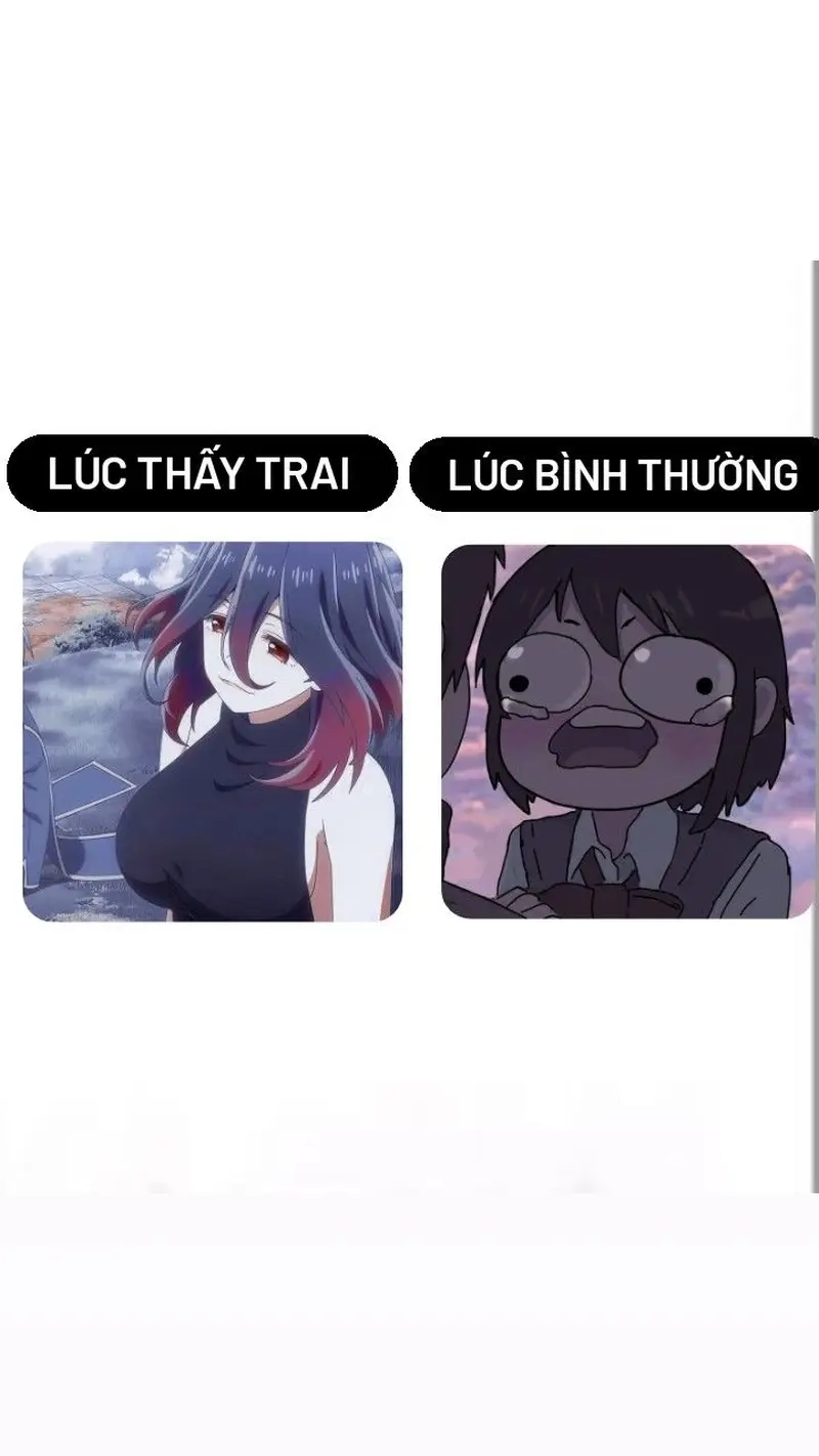 Góc nghiêng về tư tưởng hài với meme hệ tư tưởng này kia