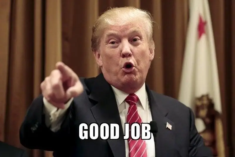 Khi muốn “châm chọc” nhẹ nhàng – meme good job cực kỳ hiệu quả