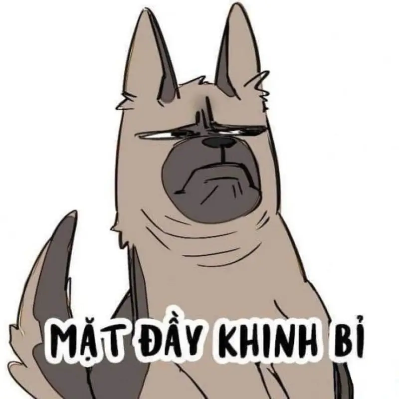 Cách “bóc phốt” không lời bằng meme khinh bỉ ra mặt hài hước